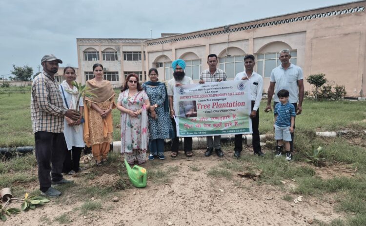  Tree plantation drive