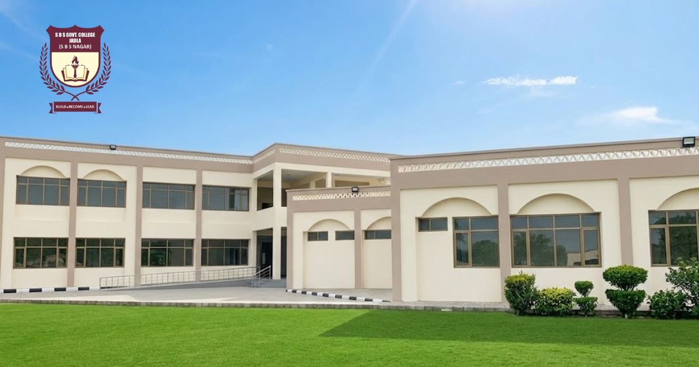 sds college slide 02